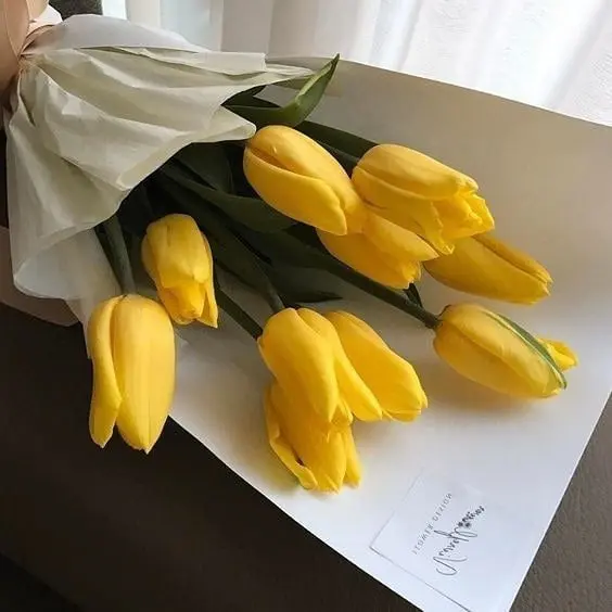 FlushPilot3868의 각경위