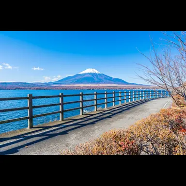 Profile image of 宮城遥希