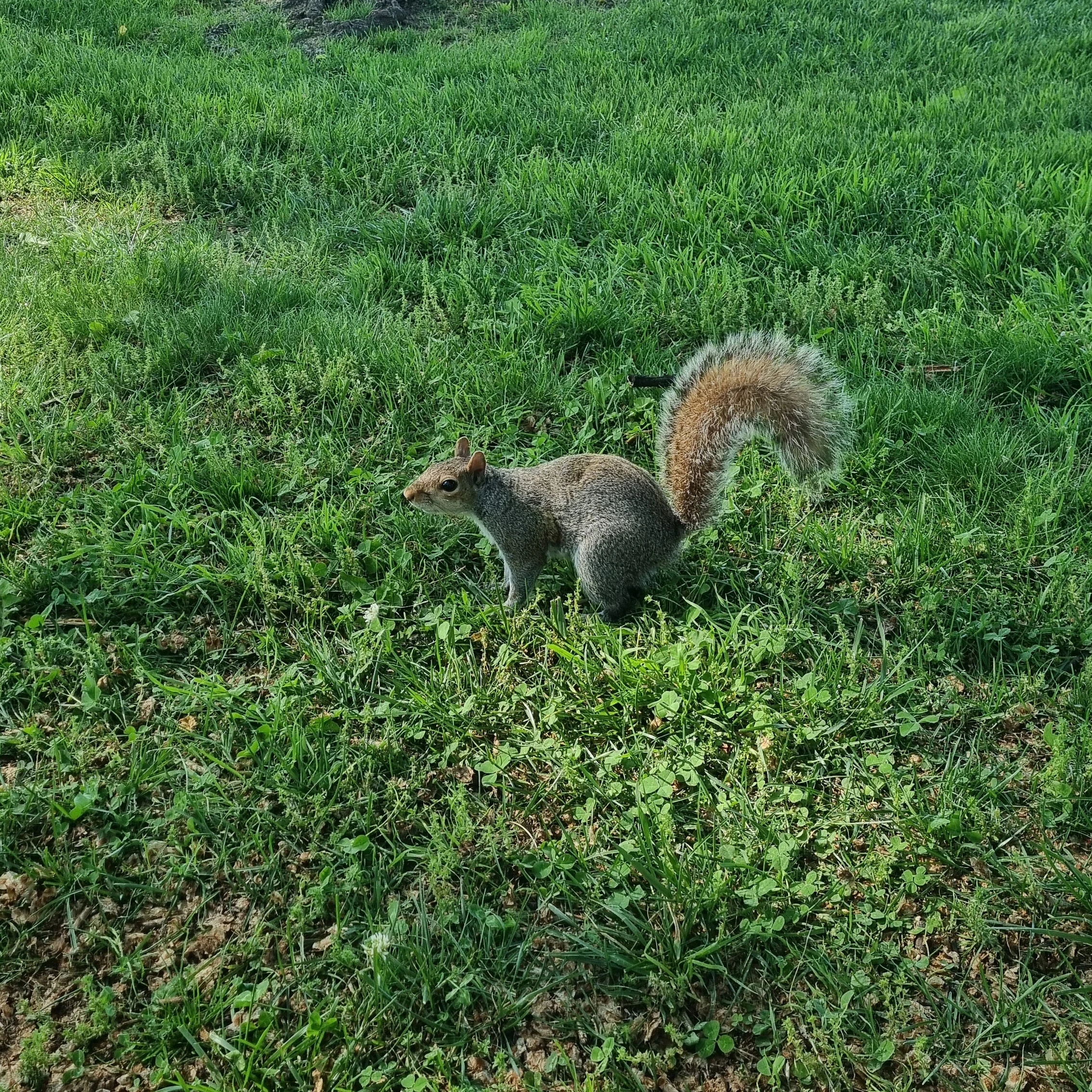 최연준