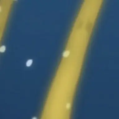 Profile image of 触手型魔物