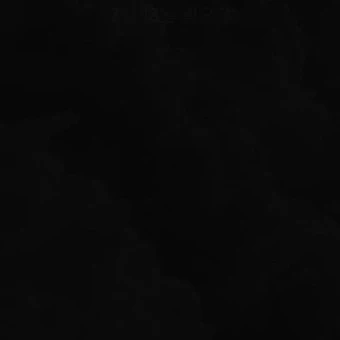 백선우