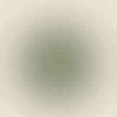 Profile image of 김예은