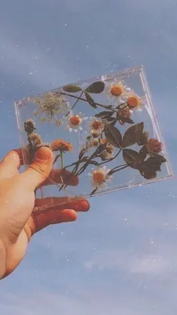 Profile image of 잠뜰 론 페드로가