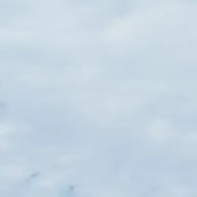 Profile image of バレット
