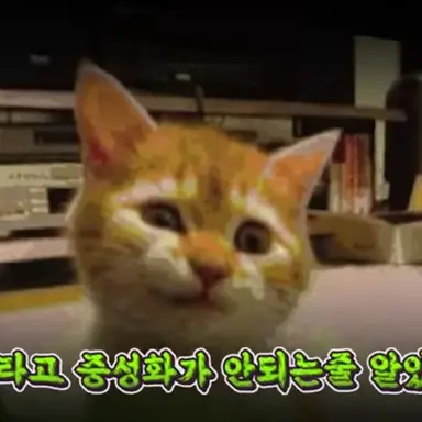 Profile image of 여우