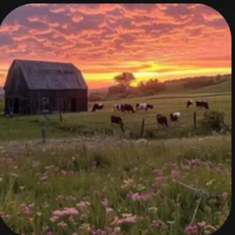Dabis_biggest_simp의 MHA countryside