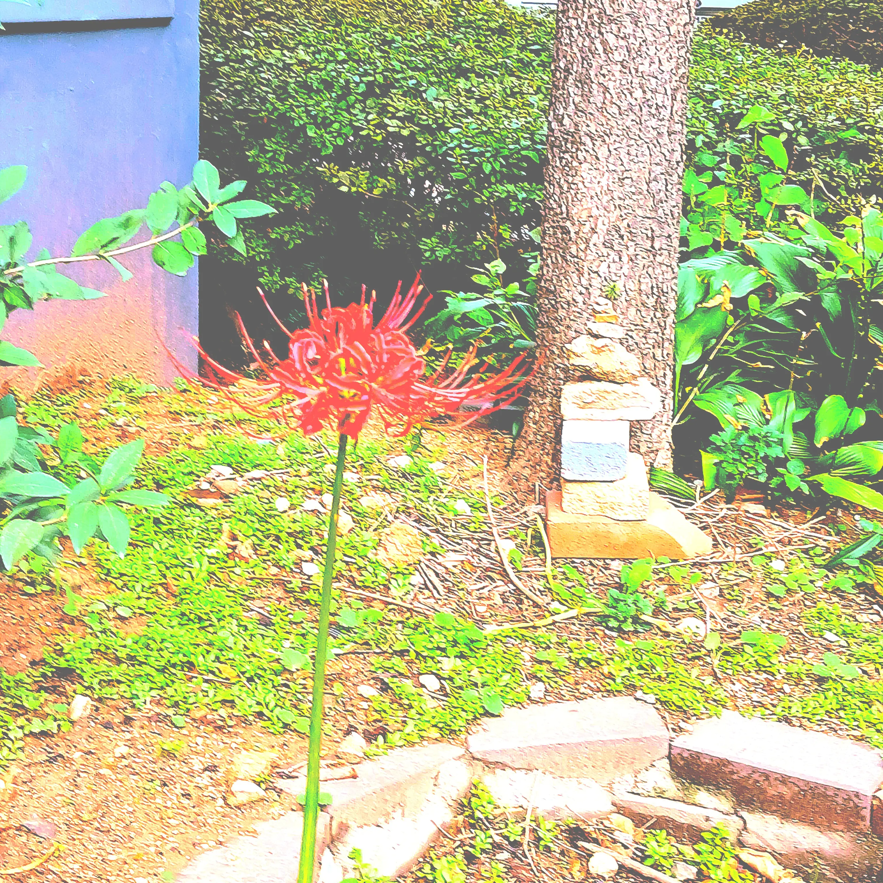 BoredFrost6194의 나는자연인이다고정맴버가돼어보자