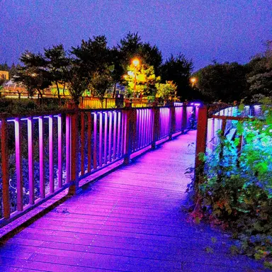 Profile image of 나는자연인이다