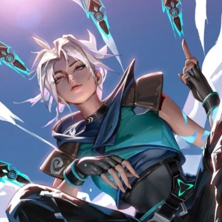 VitalOx8214의 발로란트 티어 학교