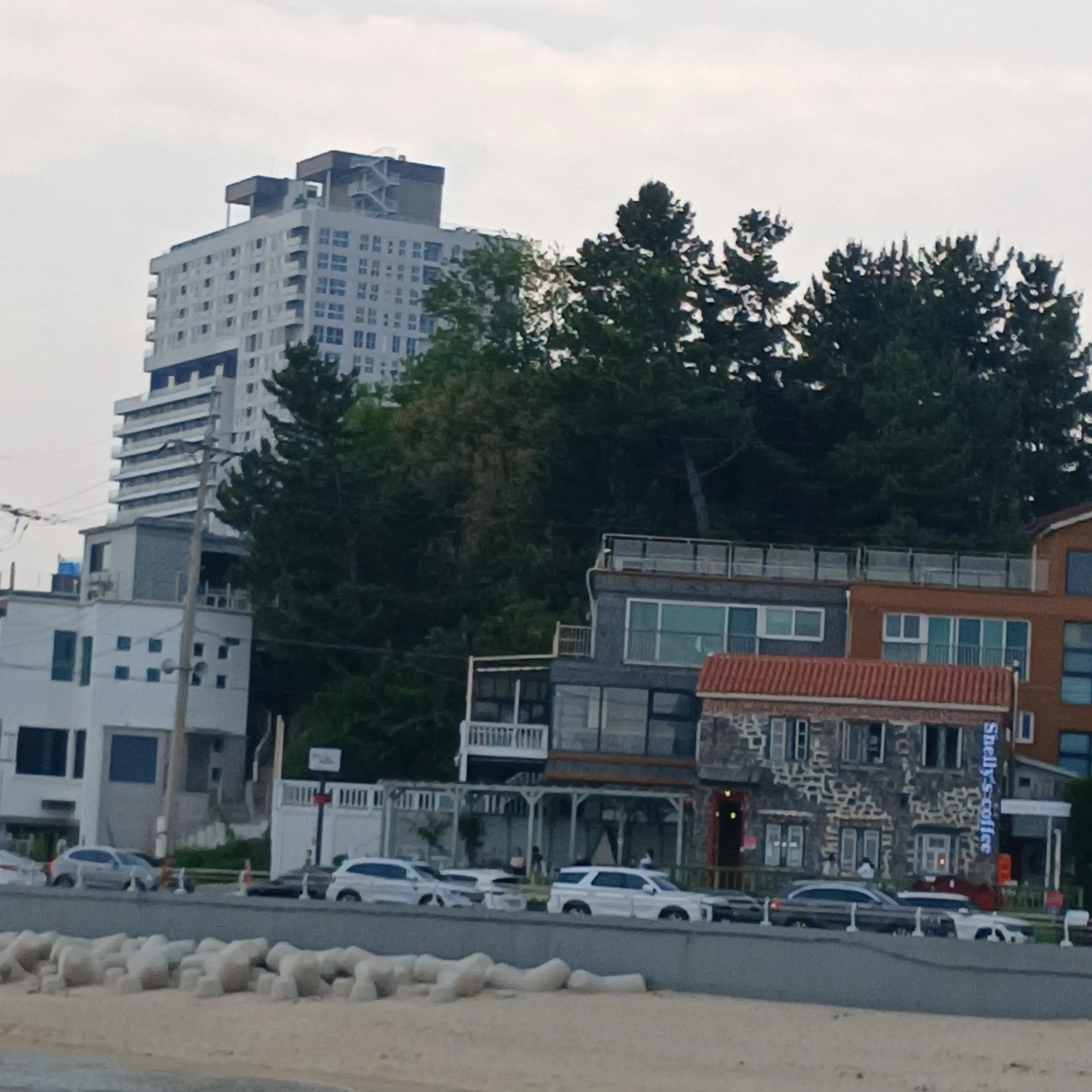 AgedMud6879의 내가 새로운 주!?!?