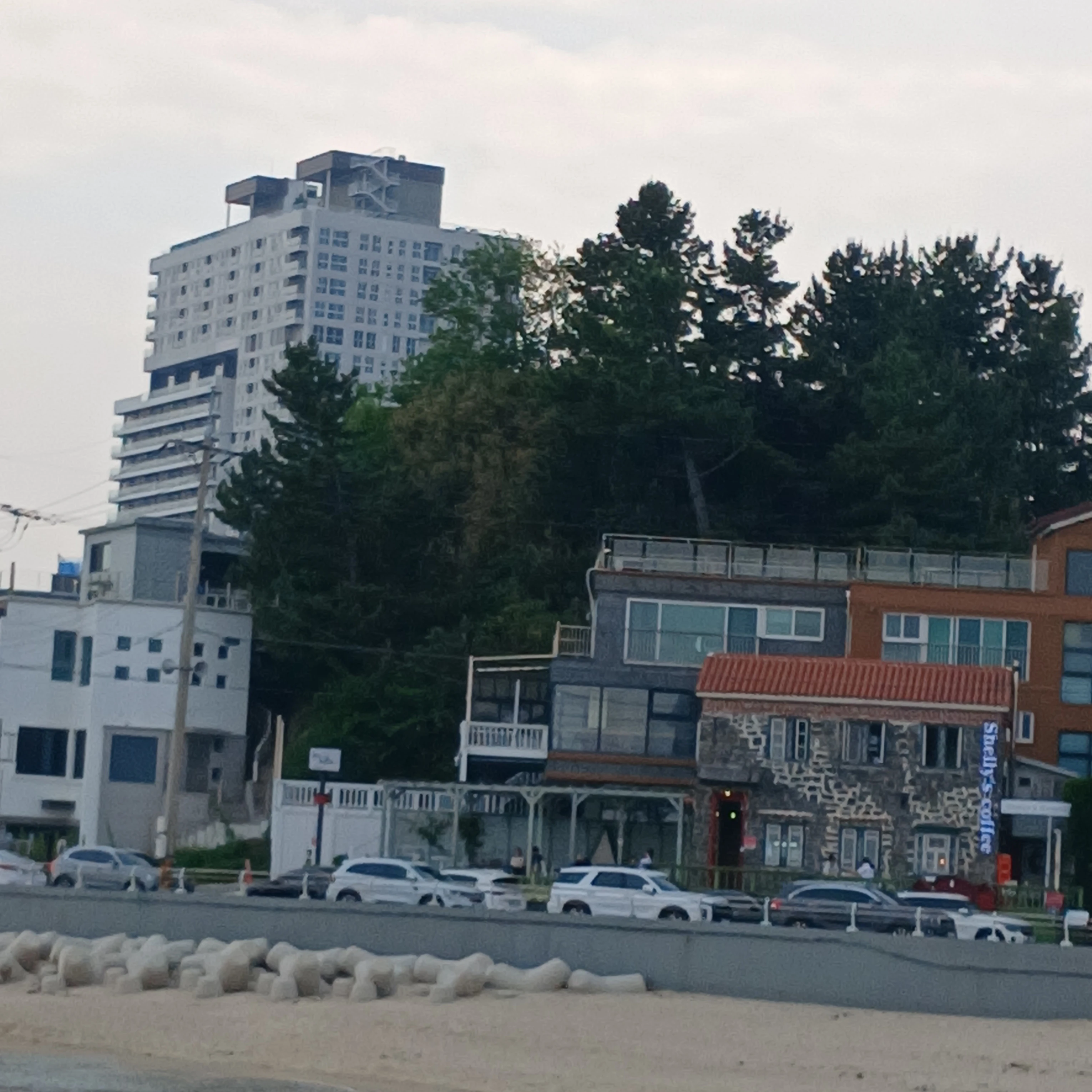 주들