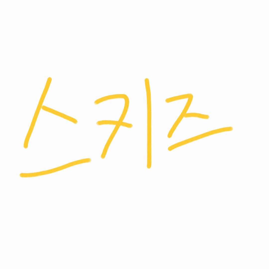 스키즈 군대. 대표 이미지