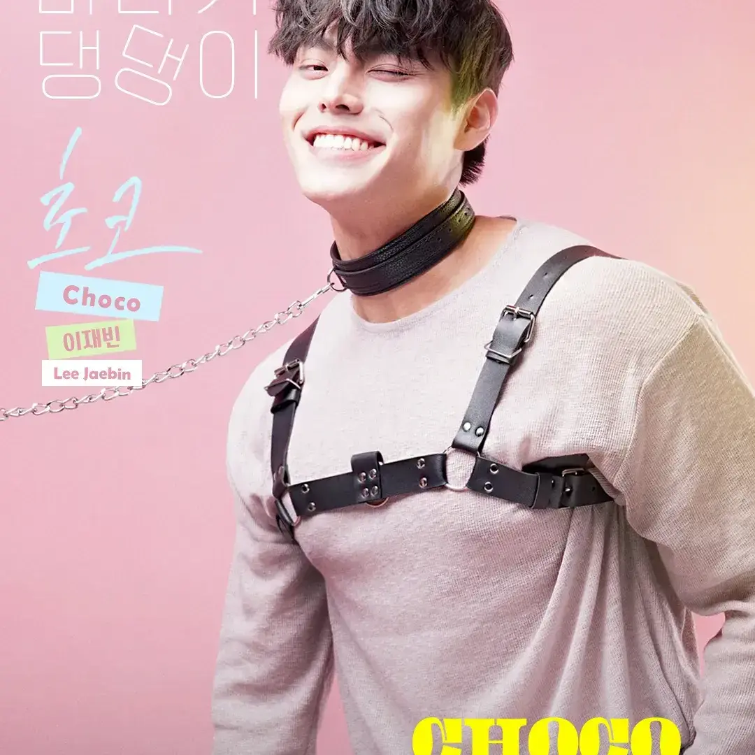 LovedTick3925의 초코밀크쉐이크