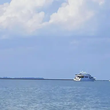 Profile image of 유지민