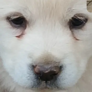 Profile image of 찌엘