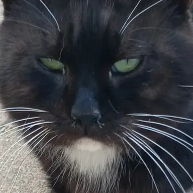 Profile image of 아름