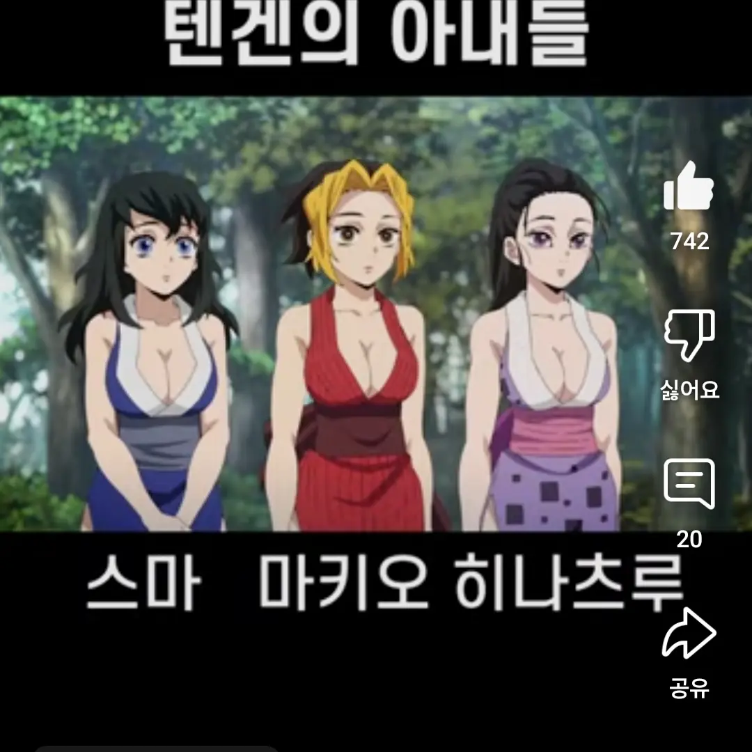 CaringHero4294의 텐겐 아내