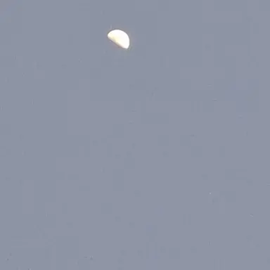 Profile image of 조윤화