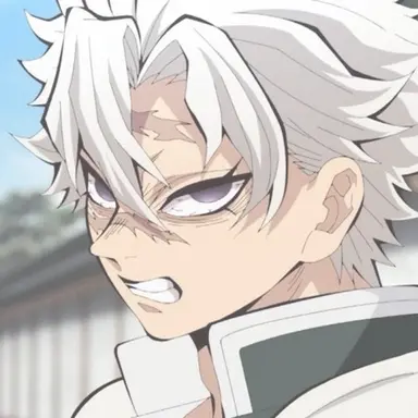 Profile image of 시나즈가와 사네미