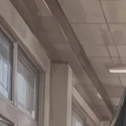 Profile image of 단이호