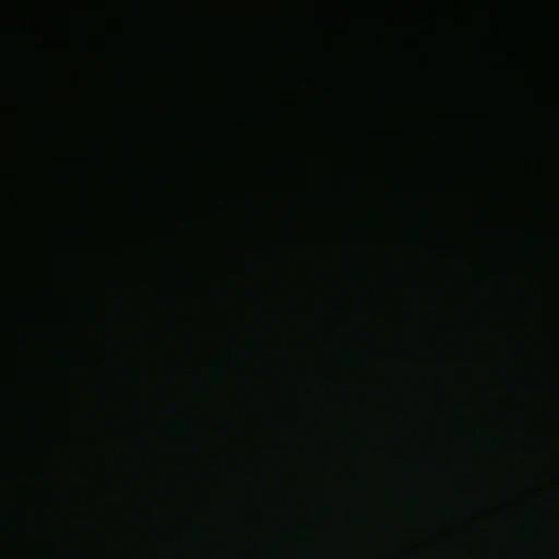 김믽규