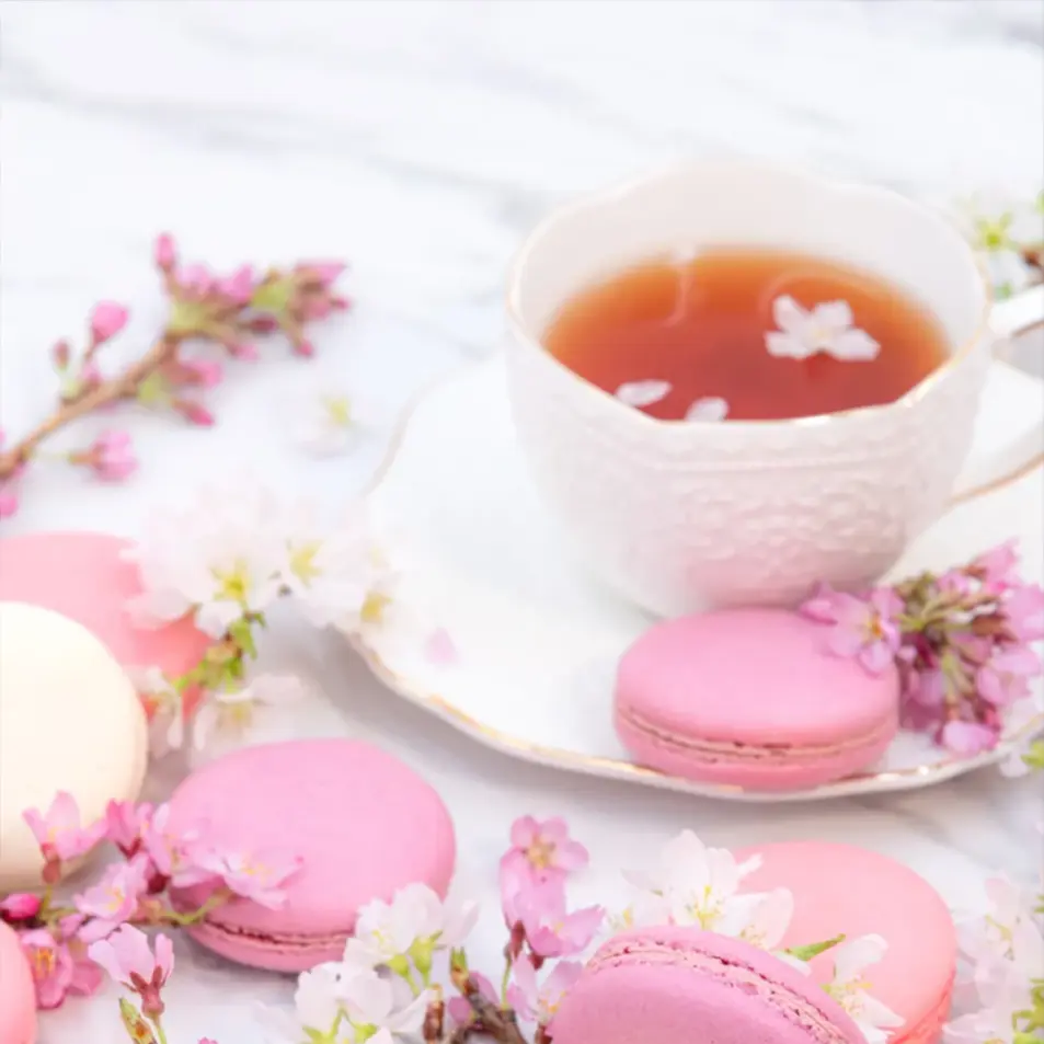 SubtleBeads4813의 異能力者の学園