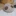 냥이