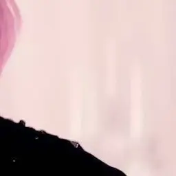 Profile image of 권지용