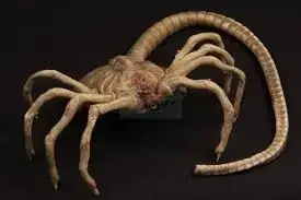 Profile image of Face hugger
