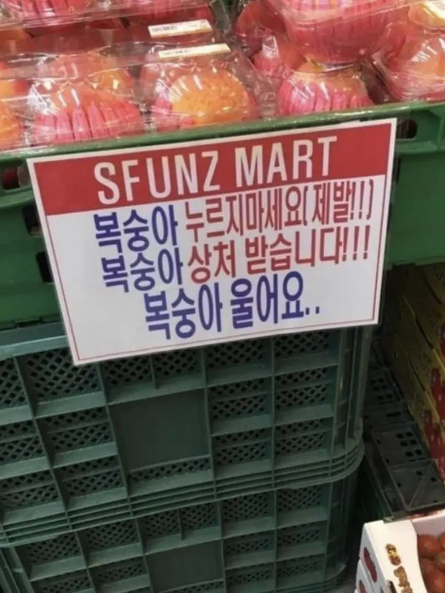 F.012의 호시나 소우시로