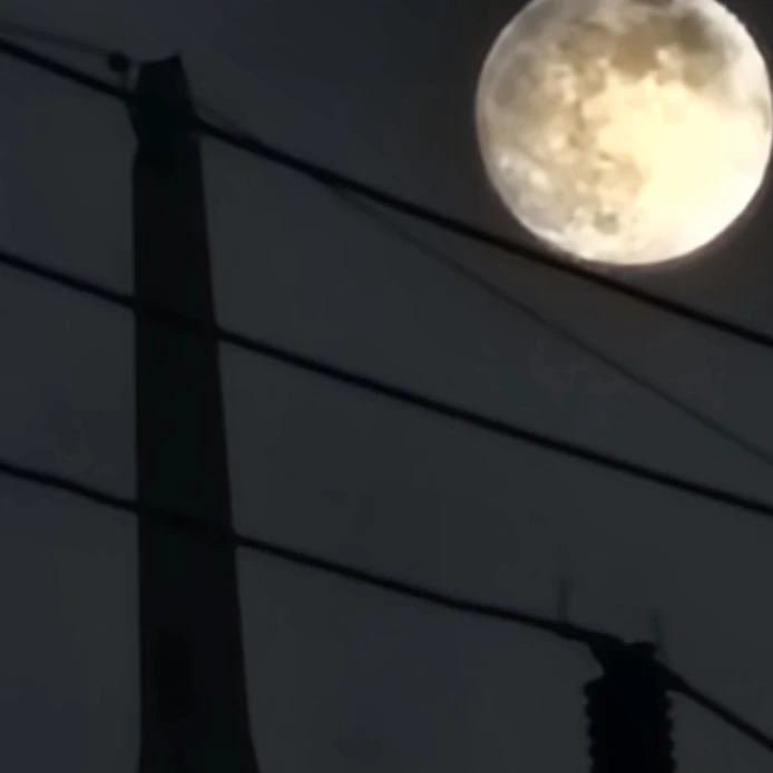 새벽감성