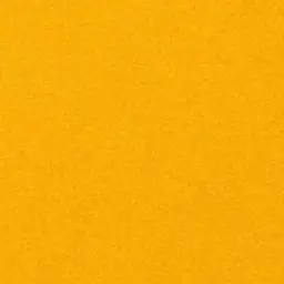Profile image of Jinto