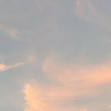 Profile image of サノス