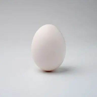 Profile image of 卵