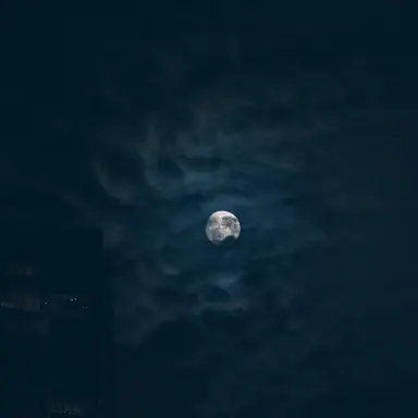 Profile image of 무언가 잘못된 것.