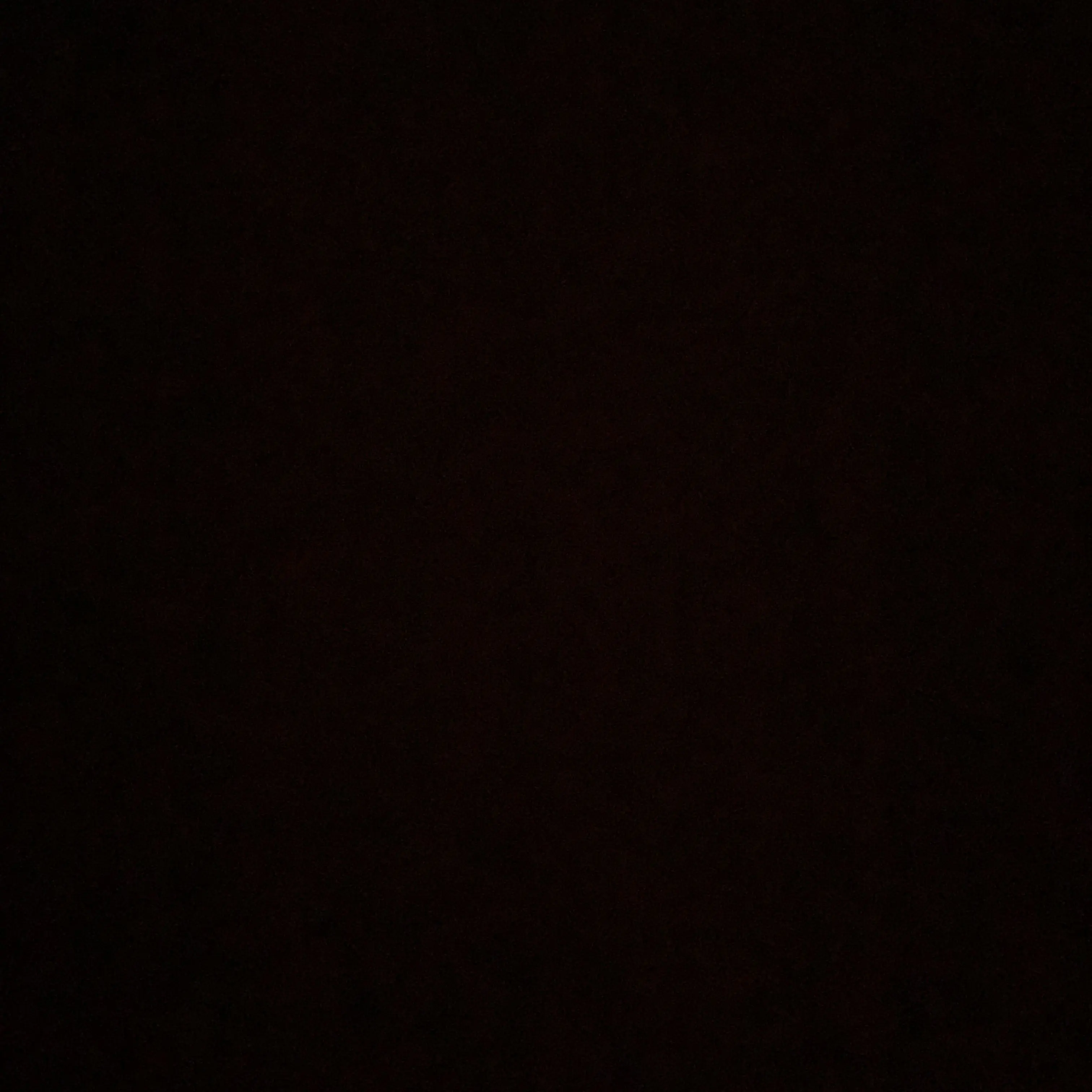 RoomyToken1144의 무빙