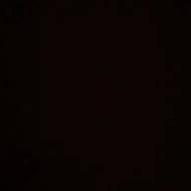 Profile image of 미현