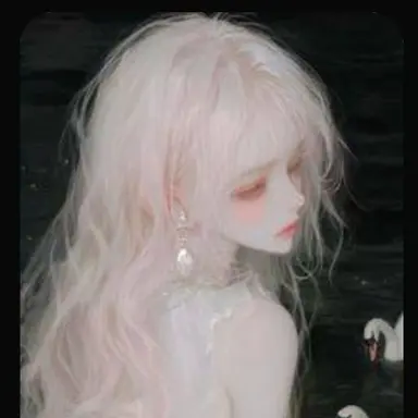 Profile image of Guest