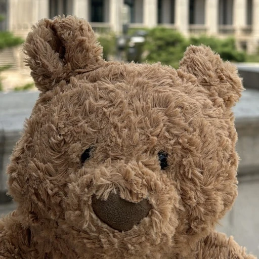 곰돌리