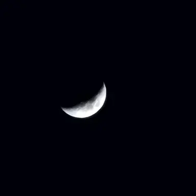 Profile image of 이배일