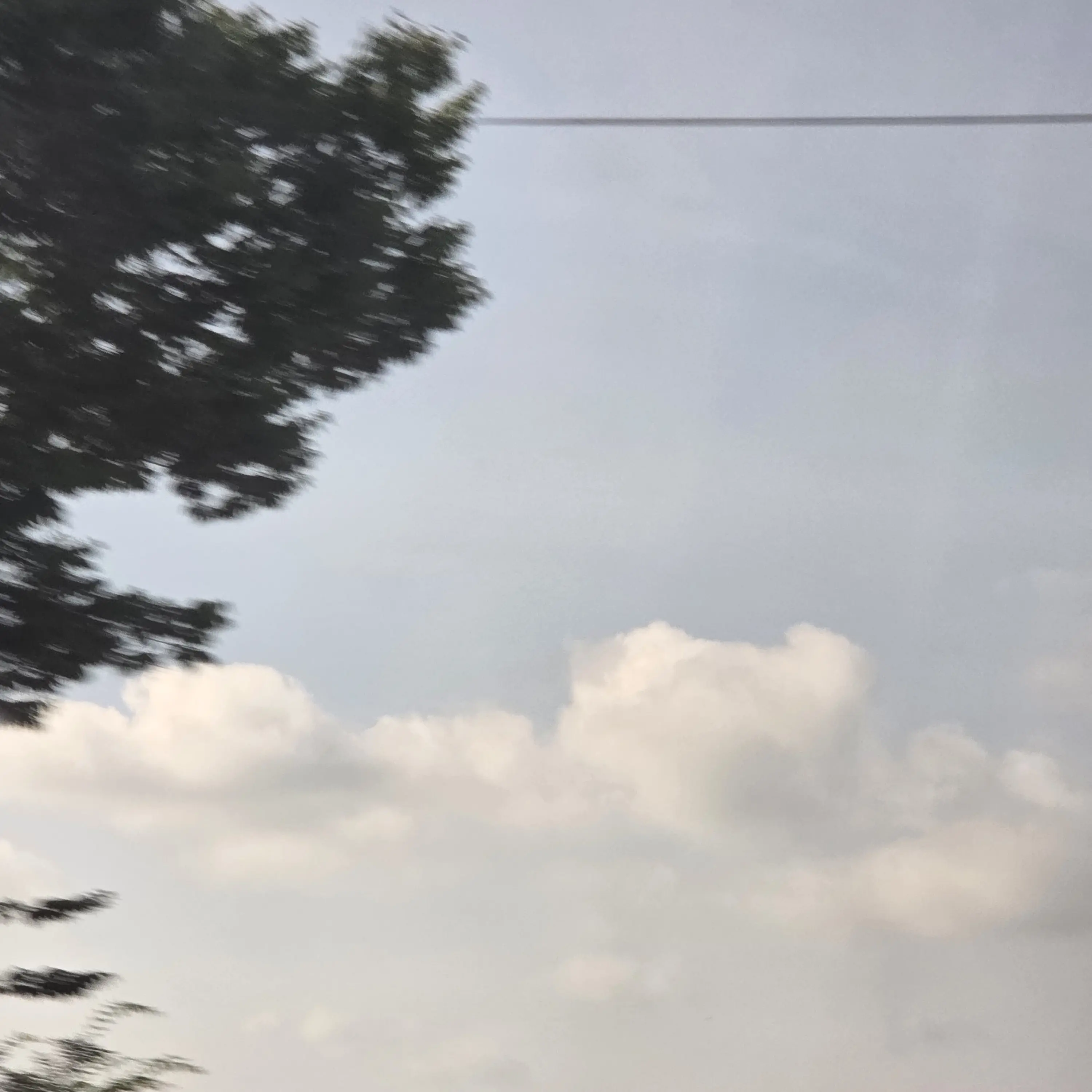 FieryRoad6216의 최 성 호