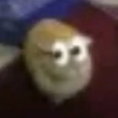 Profile image of 집주인