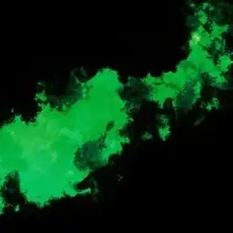 Profile image of ナムギュ