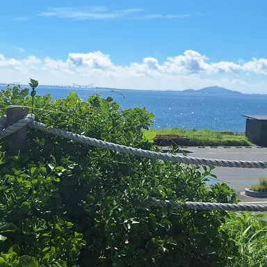 Profile image of Daisy 1337