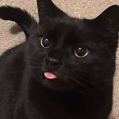 Profile image of Yoongi