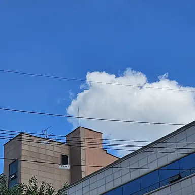 Profile image of 유림