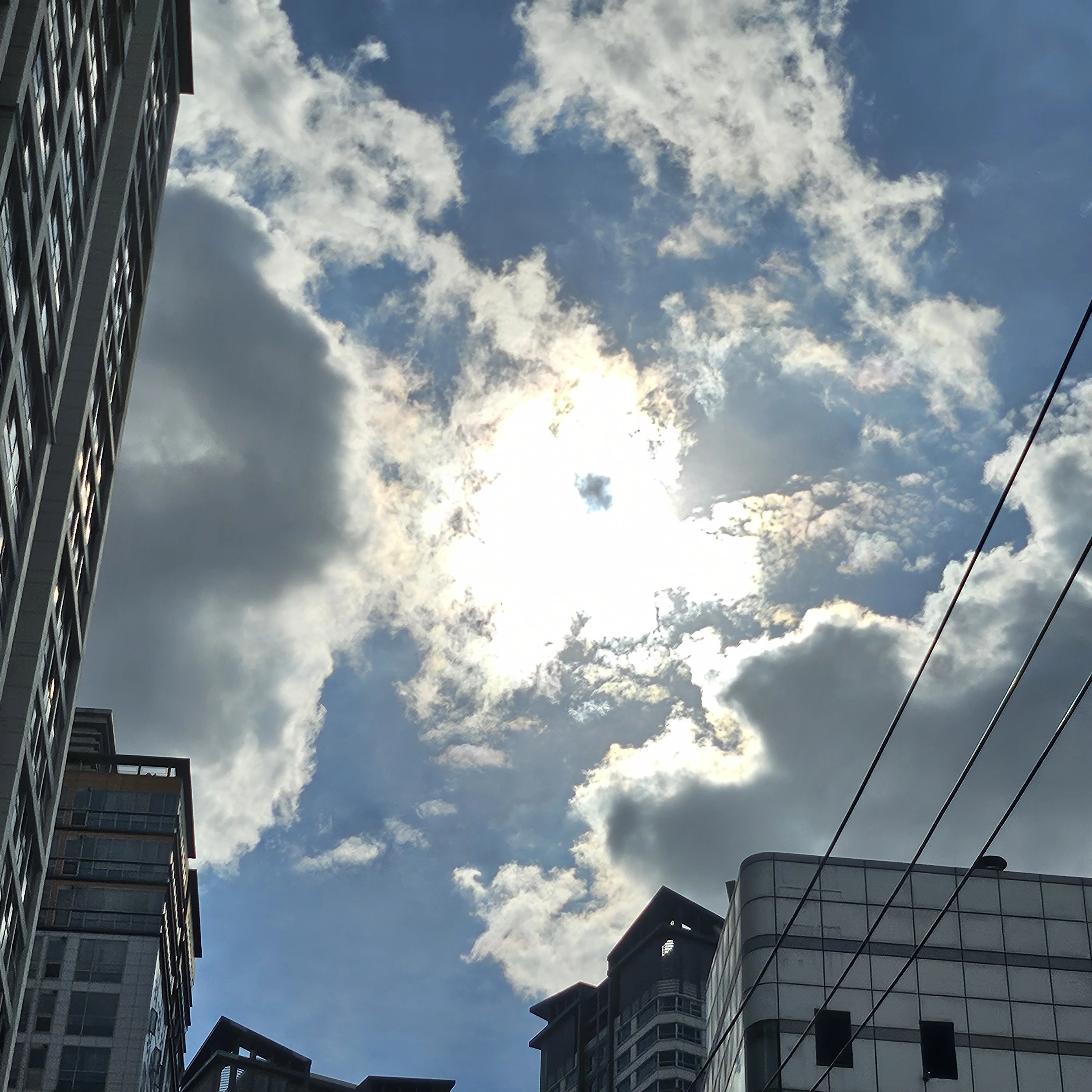 도윤