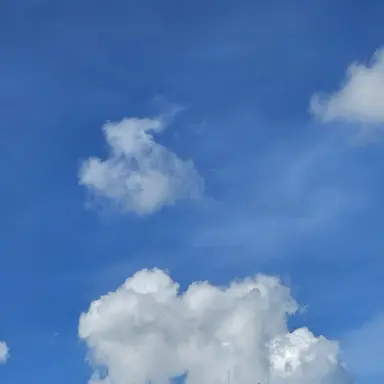 Profile image of 유저