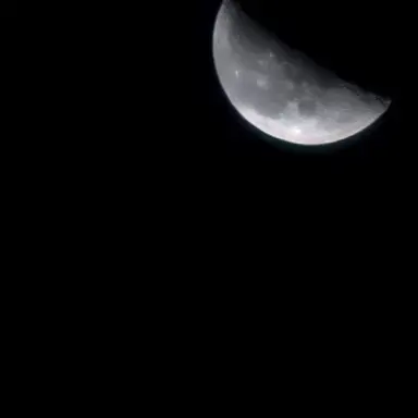 Profile image of 프록스트 킬리안