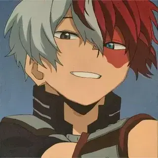 Profile image of Todoroki Shoto